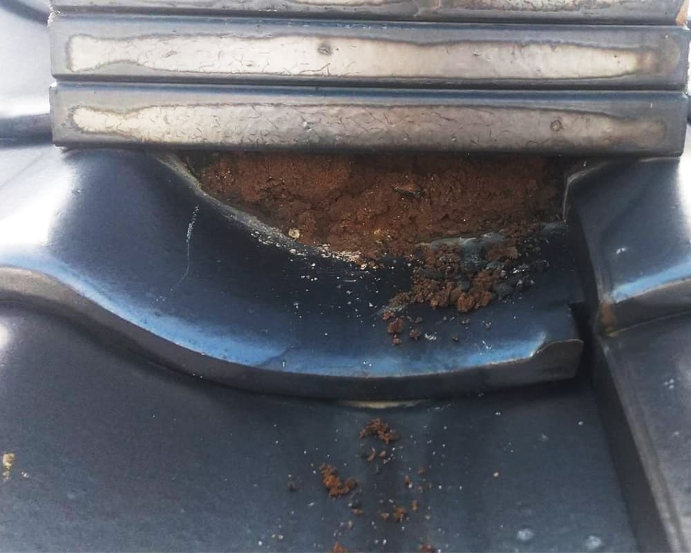 屋根工事の実績